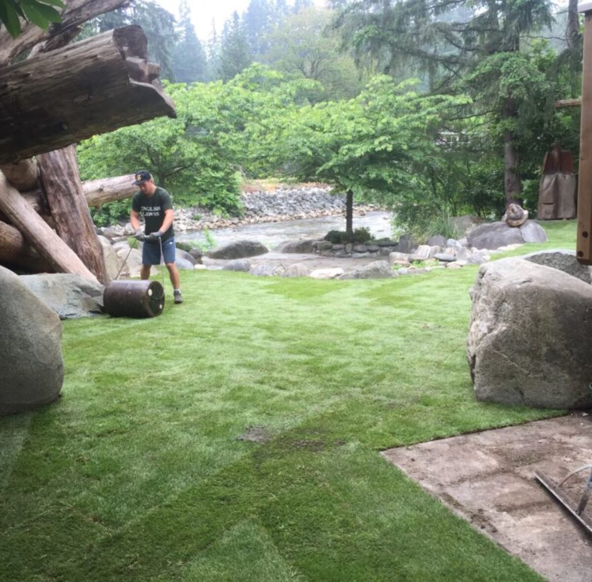 Backyard Turf Installation Backyard Turf Installation