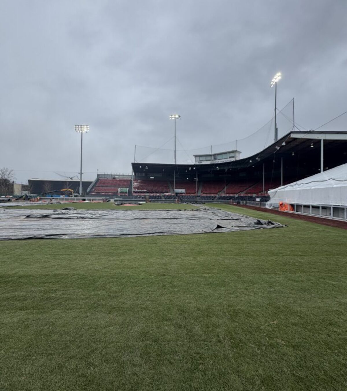 Nat Bailey Stadium Commercial Turf Nat Bailey Stadium Commercial Turf