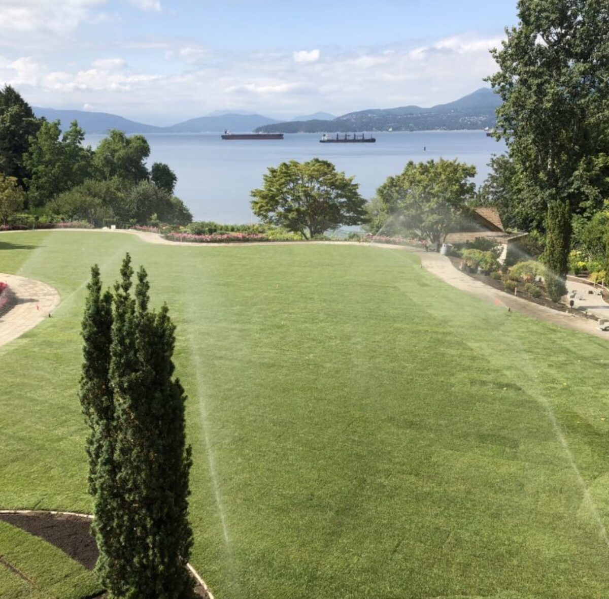 back yard turf maintenance back yard turf maintenance